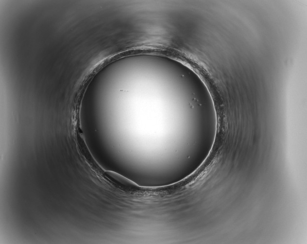 X0000094331355200711021402
