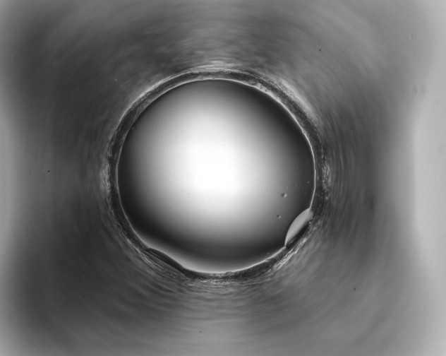 X0000094331356200711021402