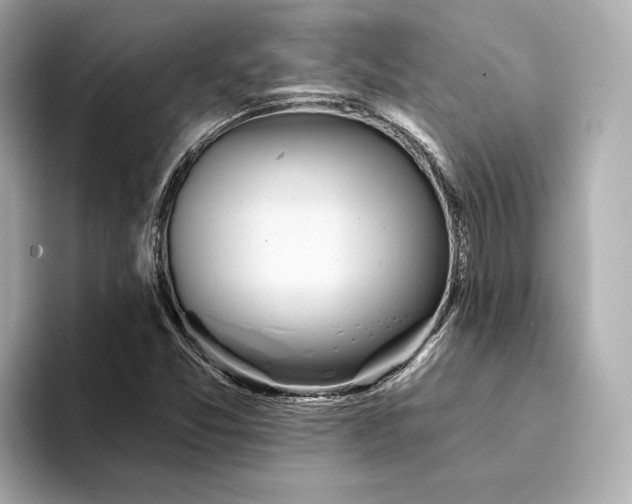 X0000094331357200711021402