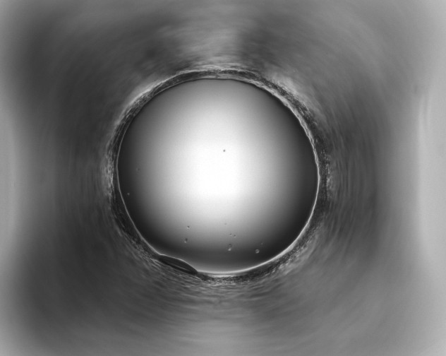 X0000094331358200711021402