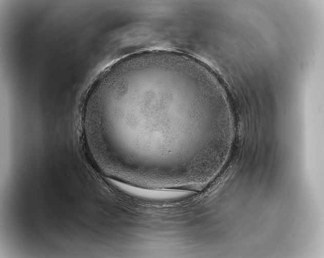 X0000094331359200711021402
