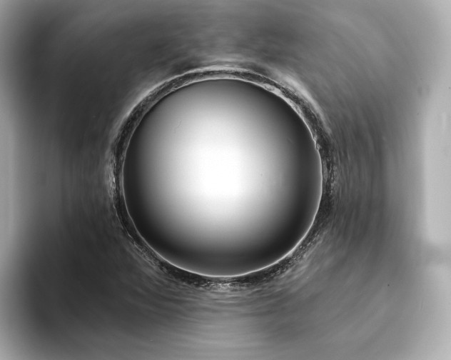 X0000094331360200711021402