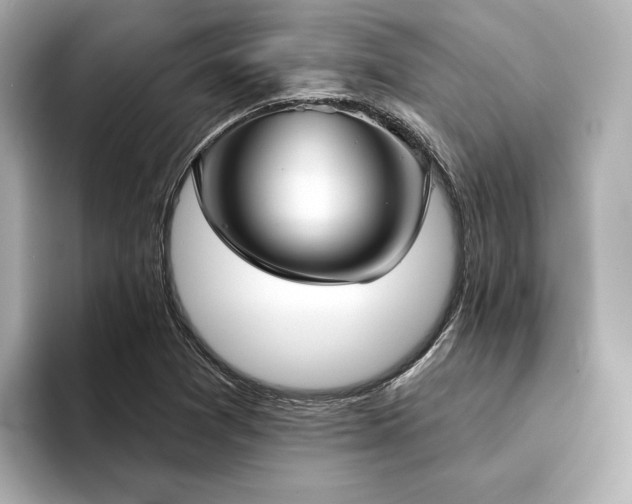 X0000094331361200711021402