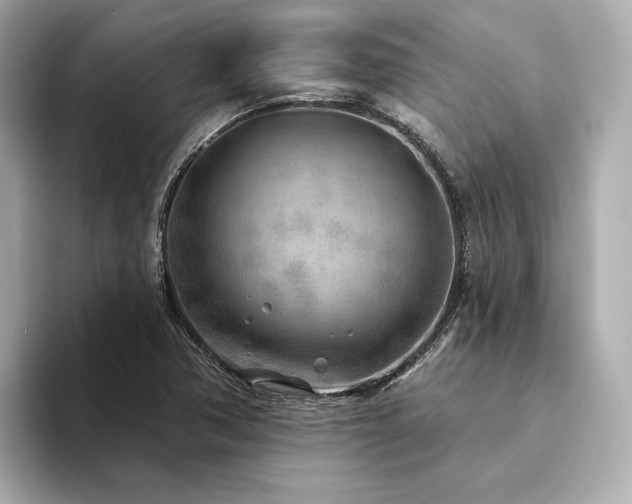 X0000094331362200711021402