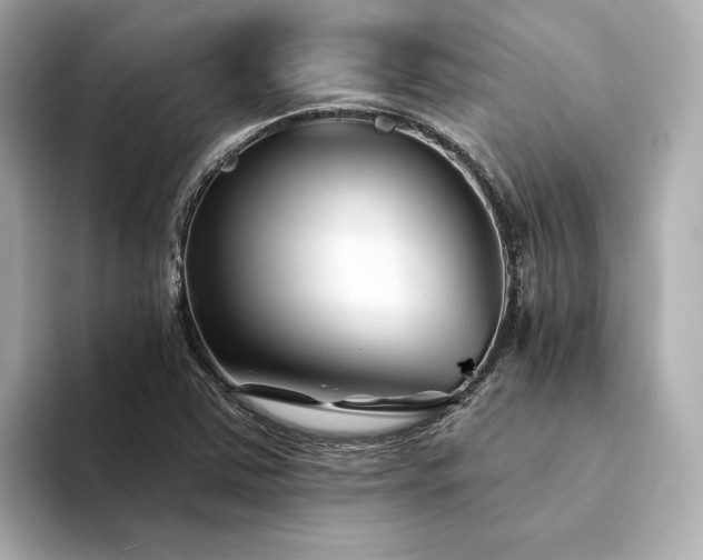 X0000094331363200711021402