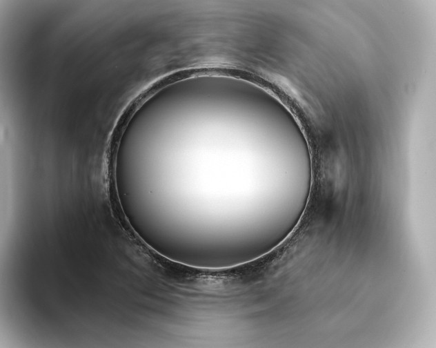 X0000094331364200711021402