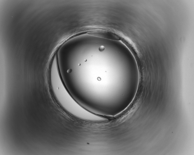 X0000094331365200711021402