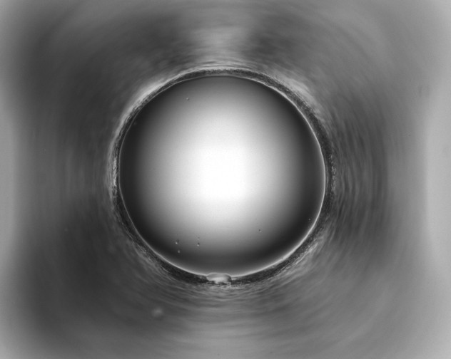 X0000094331366200711021402