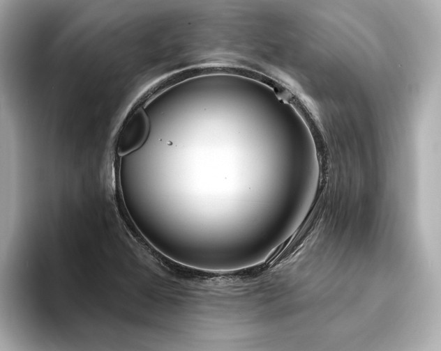 X0000094331368200711021402