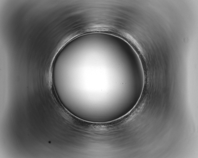 X0000094331370200711021402