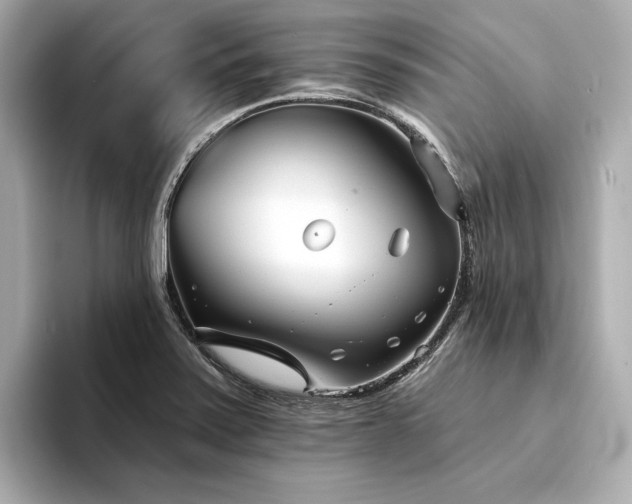 X0000094331371200711021402