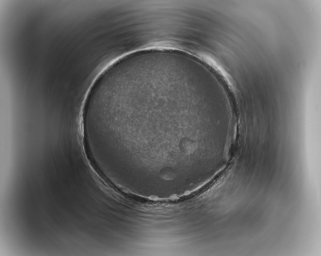 X0000094331372200711021402