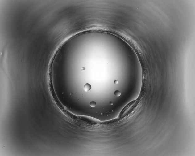 X0000094331375200711021402