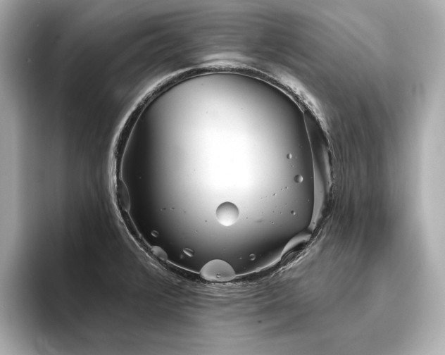 X0000094331376200711021402
