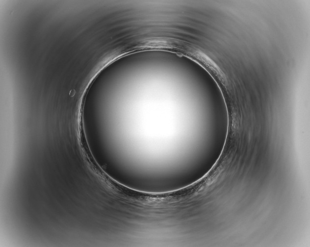 X0000094331378200711021402