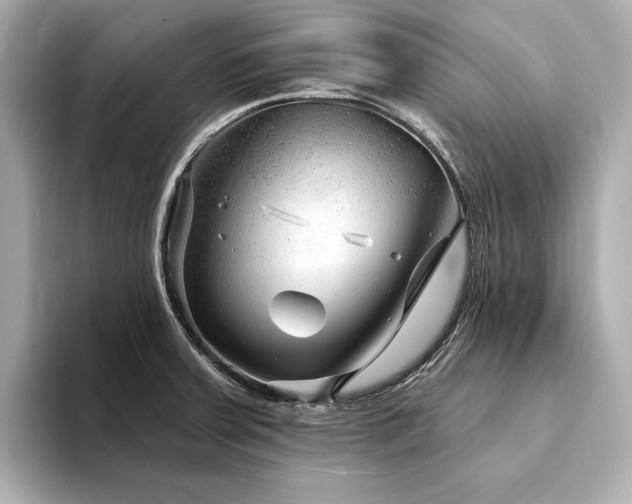 X0000094331379200711021402