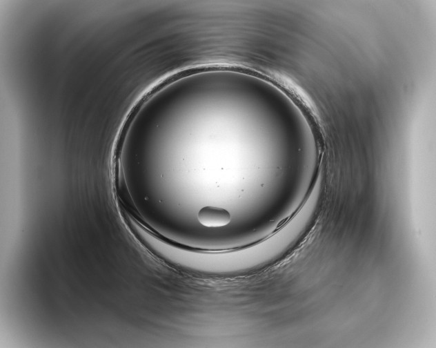 X0000094331380200711021402