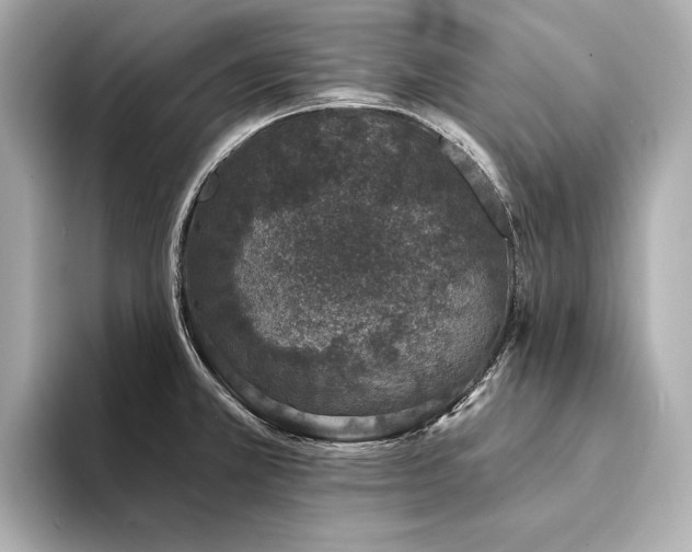 X0000094331381200711021402