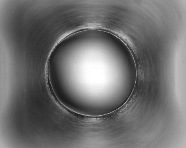 X0000094331382200711021402