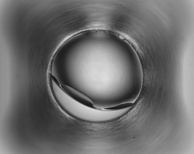X0000094331383200711021402