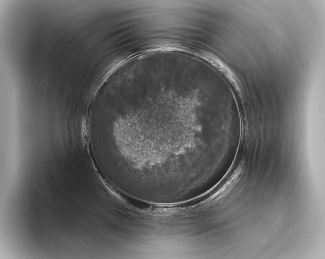 X0000094331385200711021402