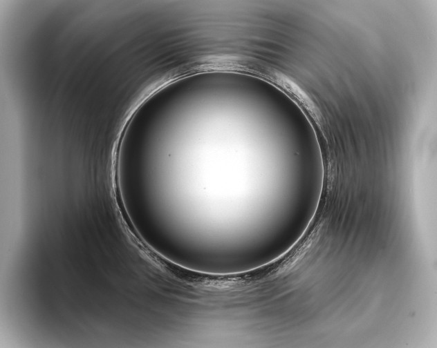 X0000094331386200711021402