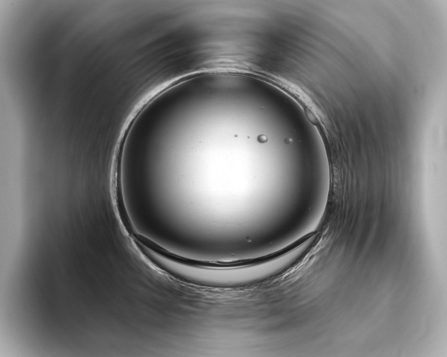 X0000094331387200711021402