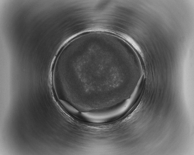 X0000094331388200711021402