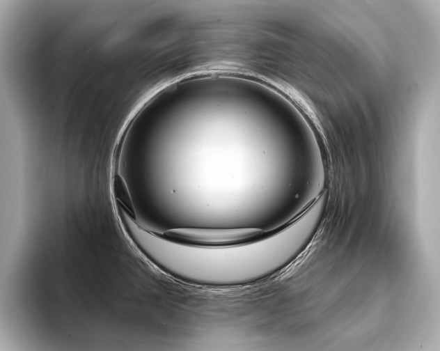 X0000094331390200711021402