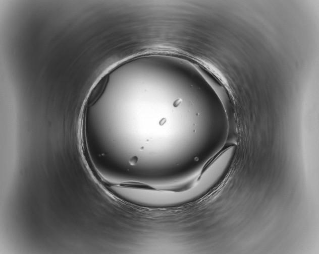 X0000094331391200711021402