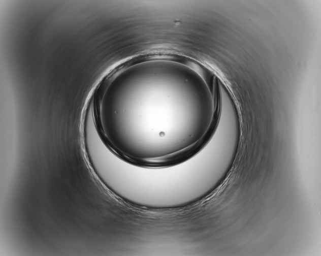 X0000094331392200711021402