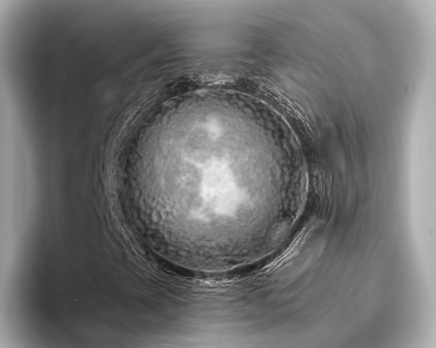 X0000094331393200711021401