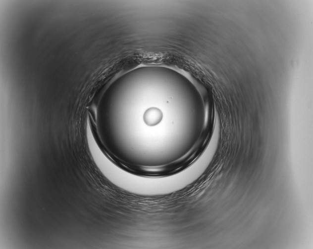 X0000094331394200711021401