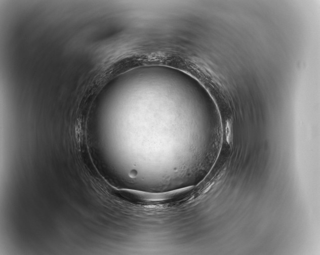 X0000094331395200711021401