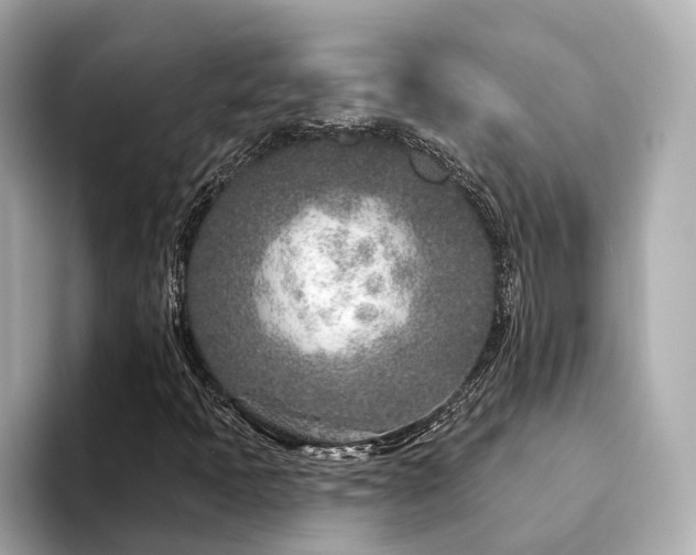 X0000094331397200711021401