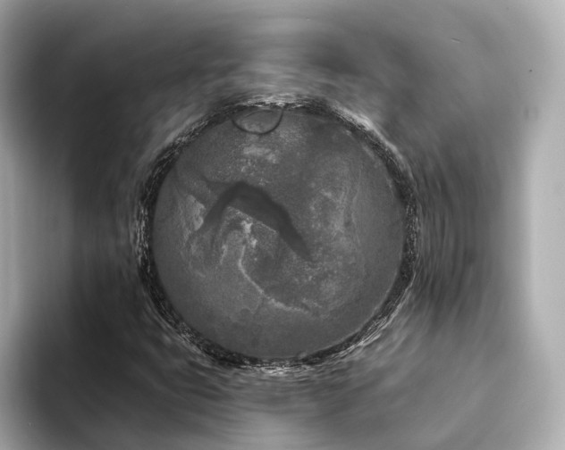 X0000094331399200711021401