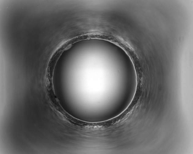 X0000094331400200711021401