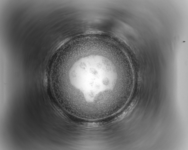 X0000094331401200711021401