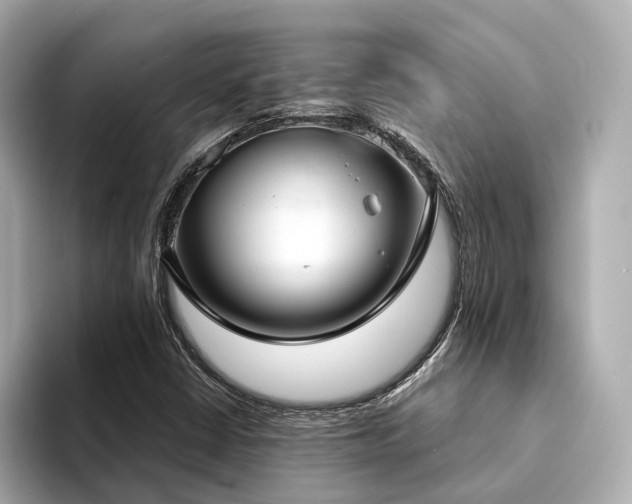 X0000094331402200711021401
