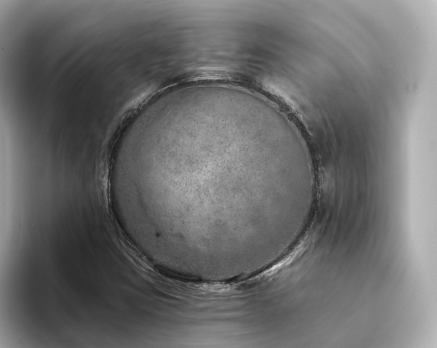 X0000094331403200711021401