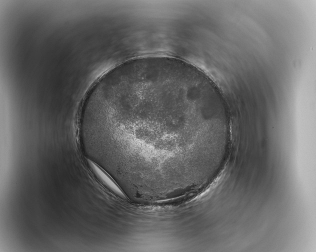 X0000094331405200711021401