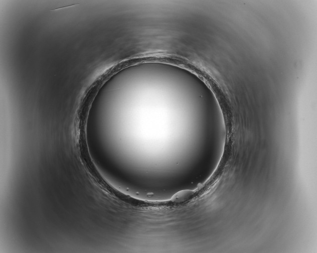 X0000094331406200711021401