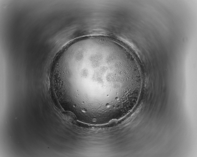 X0000094331407200711021401