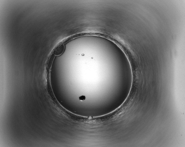 X0000094331408200711021401