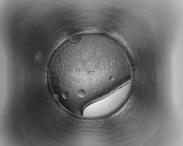 X0000094331409200711021401