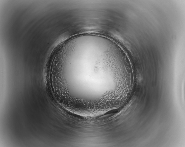 X0000094331411200711021401