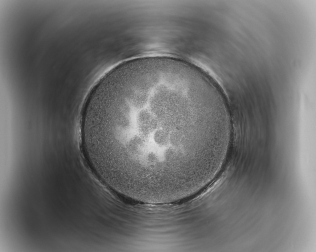 X0000094331415200711021401