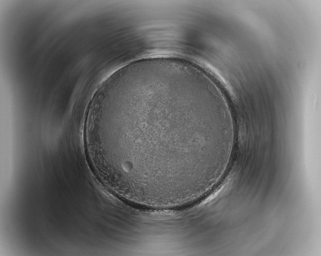 X0000094331417200711021401