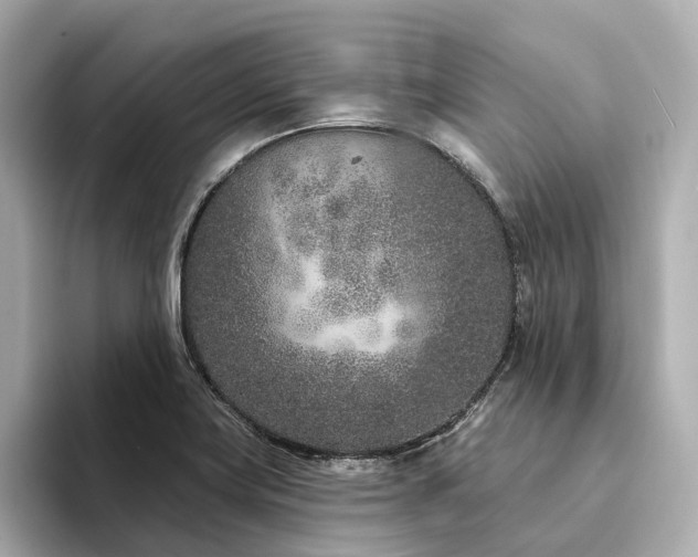X0000094331419200711021401