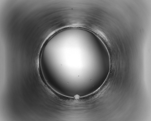 X0000094331420200711021401